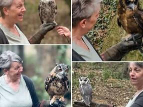 Customer Photo of Birds of Prey West Yorkshire